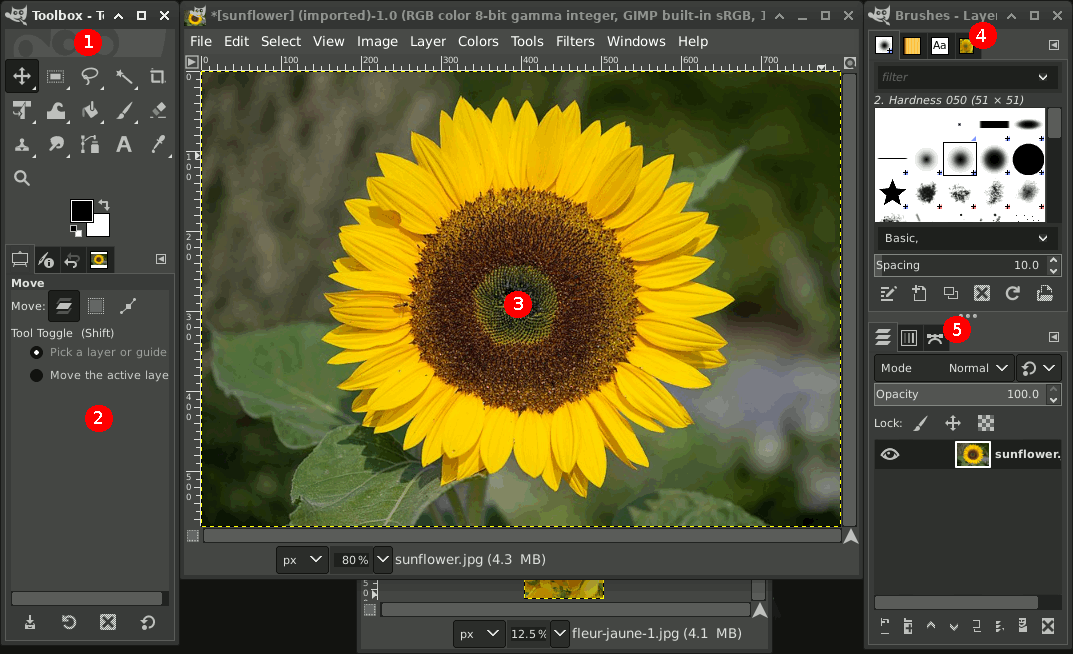 GIMP image editor